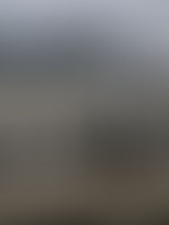 Poco más del 50% de ayuntamientos han entregado cuenta pública