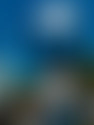 Cubanos en México condenan represión a grupo disidente Movimiento San Isidro