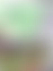 IAP Chiapas entrega certificados de Competencia Laboral