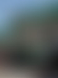 Gobierno federal reduce el subsidio fiscal de todas las gasolinas