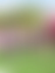 Rutilio Escandón inaugura construcción de Unidad Deportiva en Venustiano Carranza