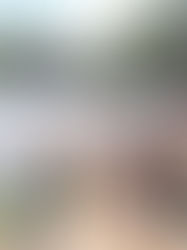 Se terminaron las vacaciones de verano