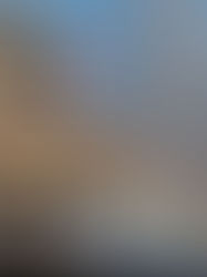 Descartan mayor resistencia genética del mexicano al Covid-19