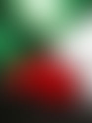 Barbados decide reconocer oficialmente a Palestina como Estado