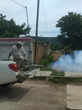 Hay 10 muertes por dengue y en aumento los números de enfermos
