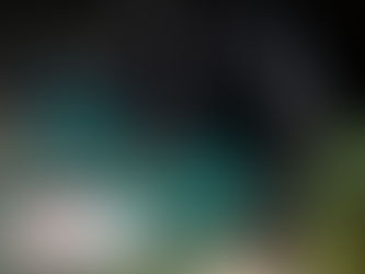 Los animales del zoológico de Río de Janeiro reciben helados en un día con calor récord