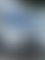 SSyPC redoblará esfuerzos en las estrategias de prevención de la violencia contra la mujer