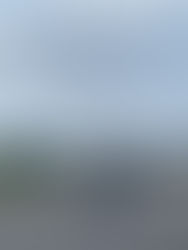 Transportistas de Chiapas piden replicar modelo de seguridad estatal ante ola de robos en Veracruz y Puebla