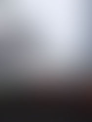 La Bolsa mexicana pierde un 0,49 % en una jornada con resultados mixtos