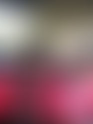 Mujeres Tsotsiles y tzeltales víctimas de violencia por decidir sobre su cuerpo 