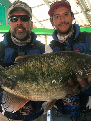 Alistan eventos de alto nivel