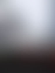 La Bolsa mexicana cierra noviembre con retroceso del 1,67 % tras amenazas de Trump