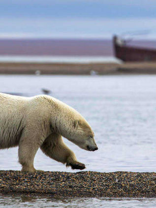 La lluvia está derritiendo el hielo en Groenlandia