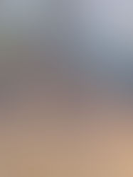 Preocupa ecocidio en reserva “El Canelar”, municipio de Emiliano Zapata