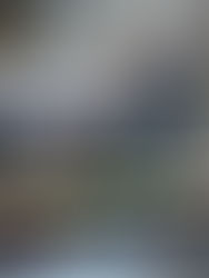 Indignación tras muerte de mujer en redada de ICE en Minnesota