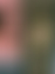 Tras despidos masivos en Twitter, a Musk le toca definir la misión de la red