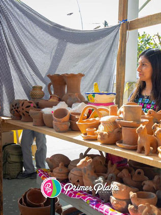 Exitoso Primer Festival Cultural de Ixtapa de la Sal