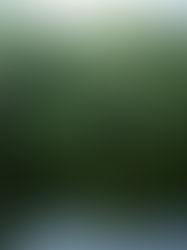 Invitan a visitar La Encrucijada