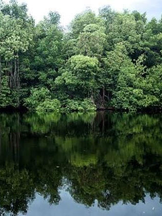 Invitan a visitar La Encrucijada