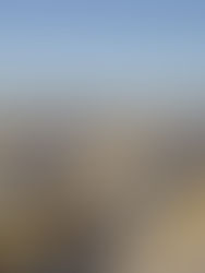 Fallo informático crea caos peatonal y vehicular en frontera de EU y México