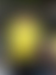 Cierran lucha por liderato