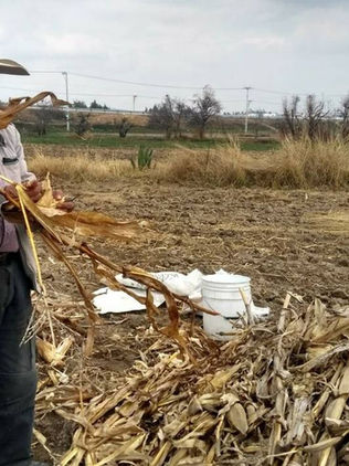 Lanzan estrategia contra el hambre y pobreza, en América Latina y el Caribe
