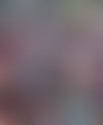 Con la 4T queremos seguir desarrollando a Yucatán y al país: Claudia Sheinbaum 