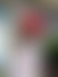 EU mantiene en 125.000 cuota de admisiones de refugiados para 2023