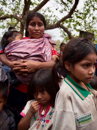 Pueblos indígenas evidencian agravios de titular del INPI