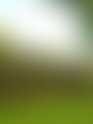 Tuxtla Chico espera repunte de visitas a Izapa