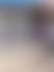 Acompaña Rutilio Escandón al presidente AMLO en reunión de evaluación del Tramo 1 del Tren Maya