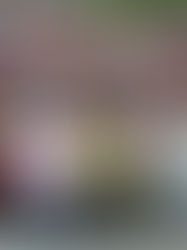 Migrantes se manifiestan en frontera sur para exigir libre tránsito