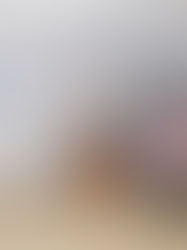 Participa Poder Judicial en reunión con empresarios