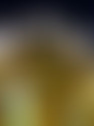 Agotan boletos para final femenil