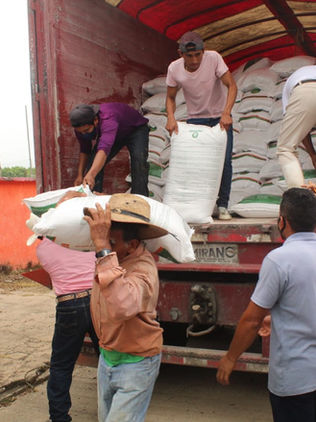 Gobierno de Villaflores inicia entrega de dos mil toneladas de fertilizante