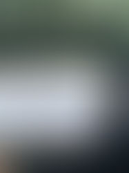 Mikel Arriola anunció desaparición del Repechaje a partir del Apertura 2023