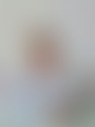 Invitan a la población a acercarse a los Comedores del Humanismo