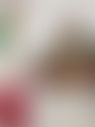 Confirman la muerte de otro agente de la Marina tras recibir un tiro en práctica