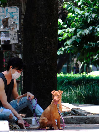 México notifica 610.957 casos y contabiliza 65.816 muertos por COVID-19