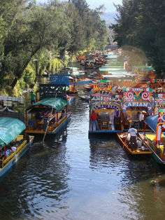 Xochimilco anuncia cero alcohol y salvavidas obligatorio en trajineras