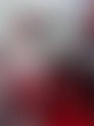 Taurinos recogen firmas para impedir la prohibición de las corridas de toros