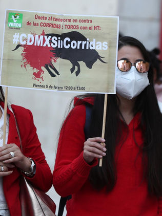 Taurinos recogen firmas para impedir la prohibición de las corridas de toros