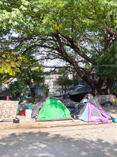 Deceso de personas por caída de árboles no es común en la capital: PC