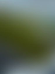 Un sitio para disfrutar