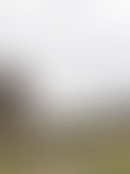 Cuatro jóvenes ingresan con puntaje perfecto a la UNAM