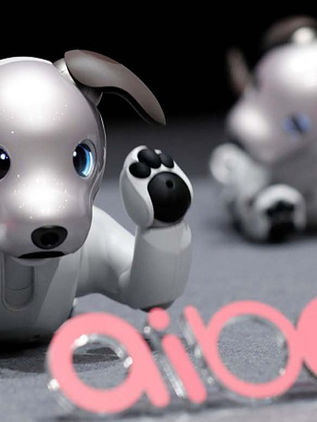 Sociedad 5.0, tecnología que genera sensación de bienestar