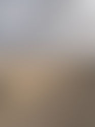 EUA designa como terroristas a seis cárteles mexicanos