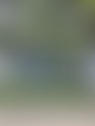 Rechaza rector “amaños” para nuevos ingresos a Medicina Humana