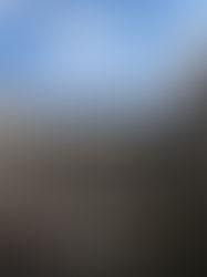 Ex-convento de Santo Domingo, joya cultural que resguarda la historia de Oaxaca