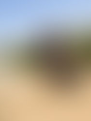 Corren en Coahuila el Desert Rally